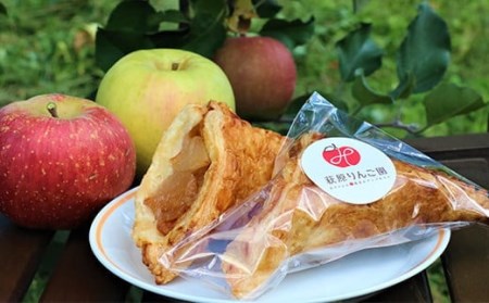 りんご農家が作ったりんごを使ったアップルパイ 140g×10個 洋菓子 お菓子 スイーツ りんご アップル F4H-0306