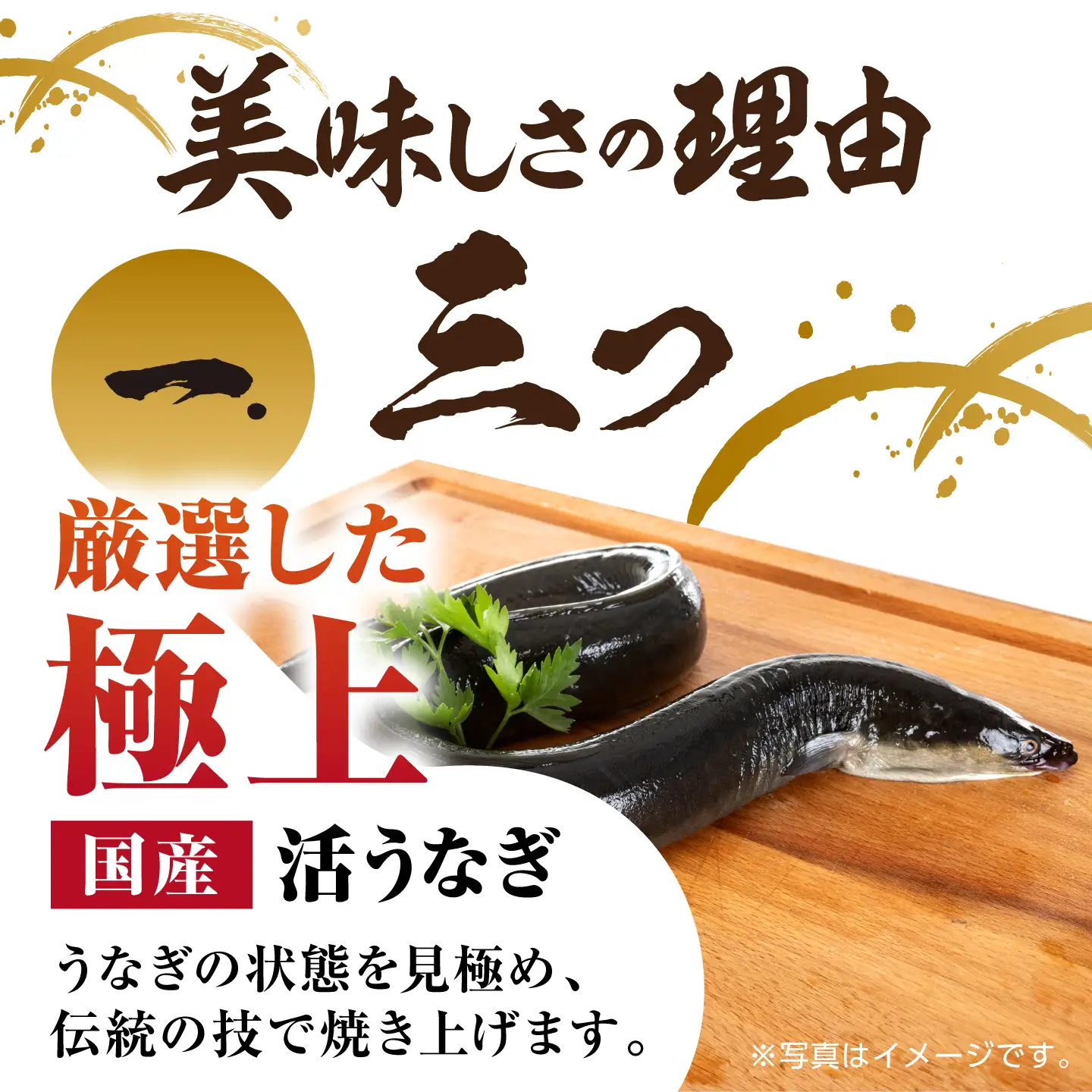 うなぎ うなぎ蒲焼き 特大3尾 NAK006