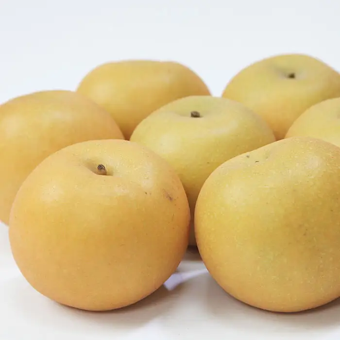 山形産 和梨(あきづき) 秀 3kg(6～12玉) 【令和8年産先行予約】FU22-010 くだもの 果物 フルーツ 山形 山形県 山形市 2026年産