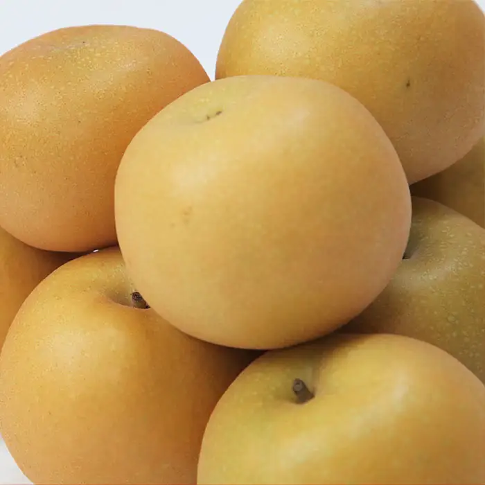 ☆フルーツ王国山形☆和梨(あきづき) 秀品 3kg【令和8年産先行予約】FU22-028 くだもの 果物 フルーツ 山形 山形県 山形市 2026年産