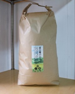 「道行竈のお米」R5年度産　コシヒカリ　10kg／平家の子孫が住む自然豊かな竈方集落　伊勢志摩　三重　南伊勢