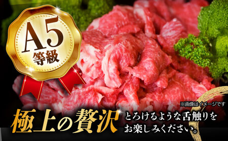 【12回定期便】【飛騨牛】A5等級切り落とし 500g[TAZ014] しゃぶしゃぶ