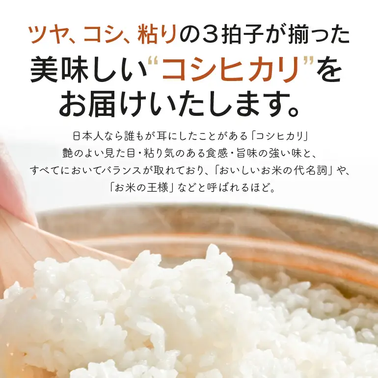 定期便 常陸牛農家が育てるコシヒカリ 5kg×12回 令和8年度産 米 お米 白米 こめ 精米 取り寄せ 特産 ごはん ご飯 コメ お取り寄せ ギフト 贈り物 お弁当 弁当 おにぎり ふっくら ツヤツヤ 甘い 農家直送 産地直送 国産 茨城県産
