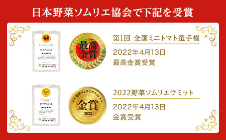  フルーツ トマト ［2027年先行予約］ トマデリッシュ 約1.2kg 橋本農園 岡山 野菜 高糖度 旨味 弾力 果実 甘い サラダ そのまま 岡山県産 緑黄色野菜 