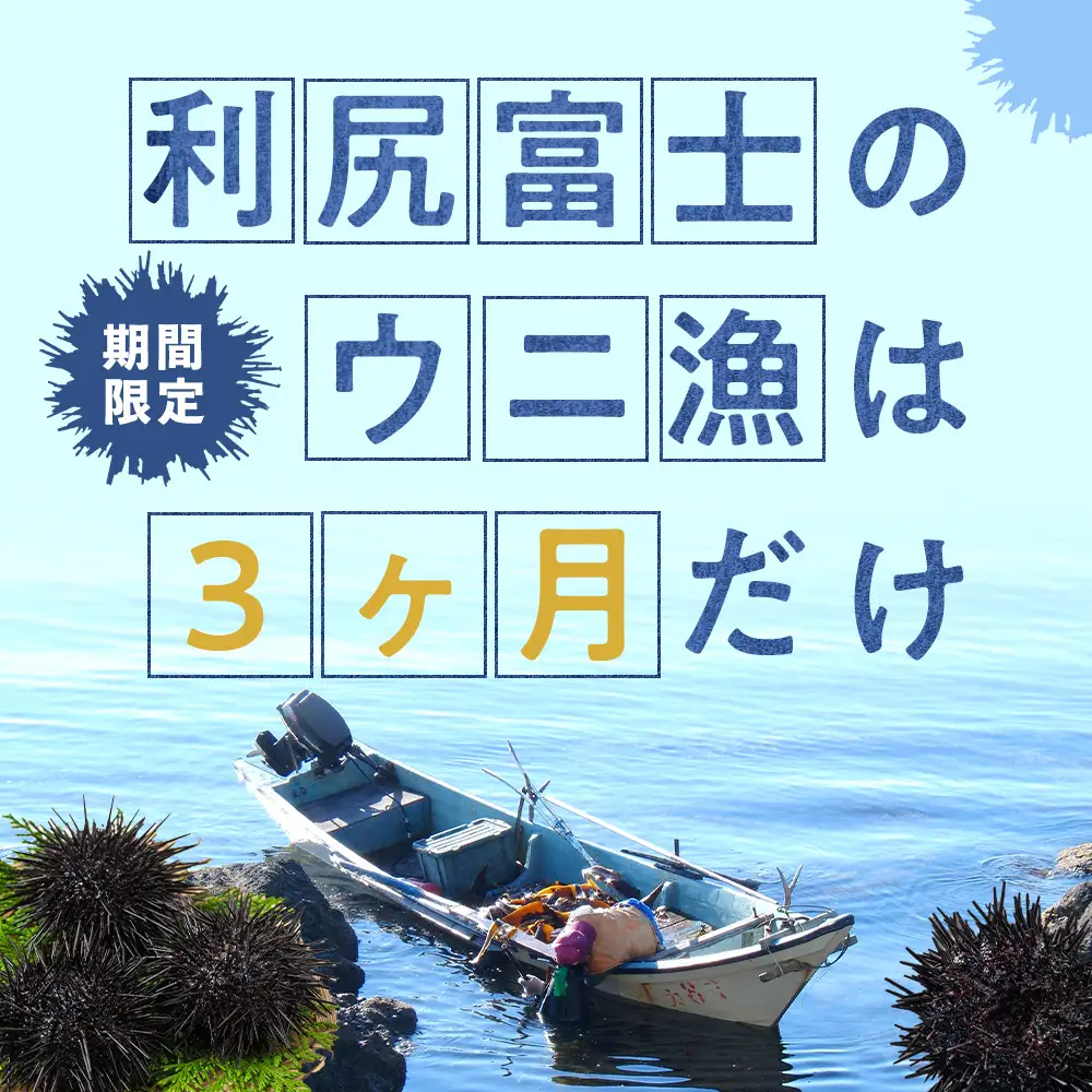 【2026年9月発送】キタムラサキウニ 100g (100g×1パック) ＜利尻漁業協同組合＞