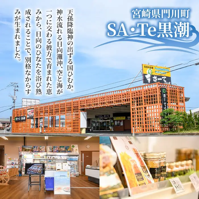 からすみパスタソース(合計600g・100g×6P)クリーム・豆乳・和風の3種！別添からすみパウダー(計36g・6g×6p)付き カラスミ 魚卵 珍味 冷凍 ボラ イタリアン【B-13】【SA・Te黒潮】