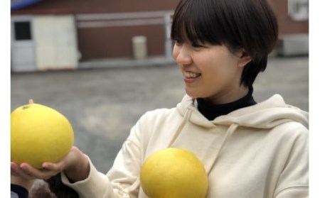 彩り柑橘園 土佐文旦3kg 家庭用 文旦