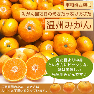愛媛県西宇和産 でん助みかん（極早生）5kg ご家庭用 MDN0002