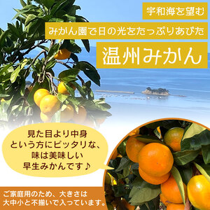 愛媛県西宇和産 でん助みかん（早生）5kg ご家庭用 MDN0003