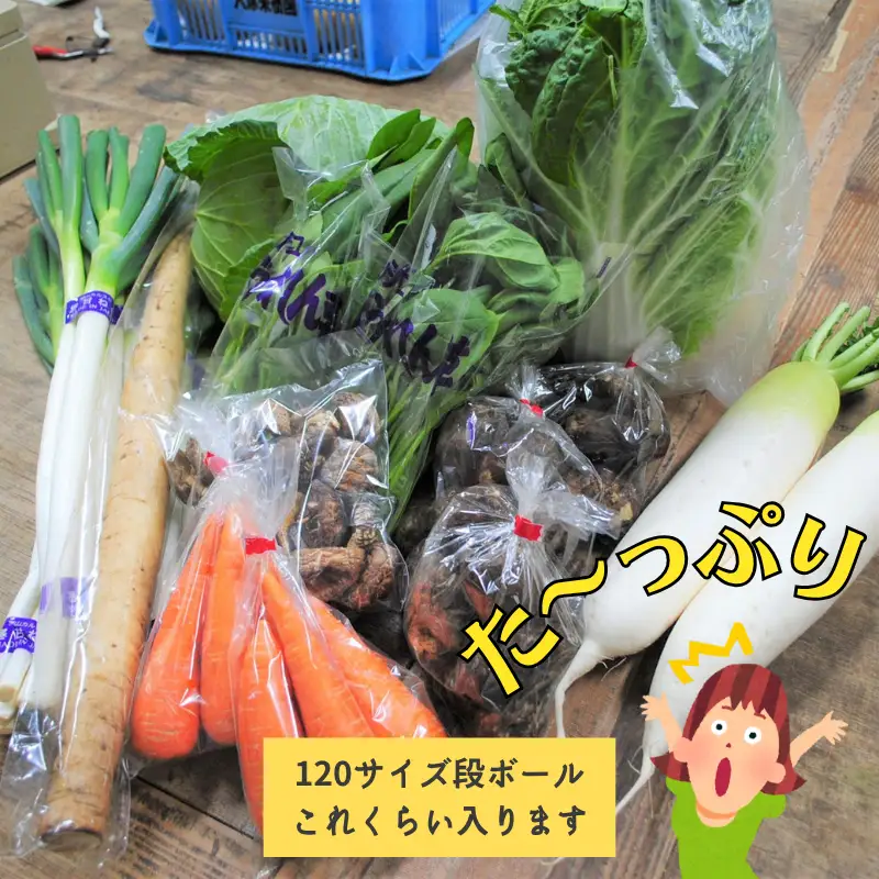 新見市産 冬の野菜詰め合わせセット【11月中旬～1月中旬発送】