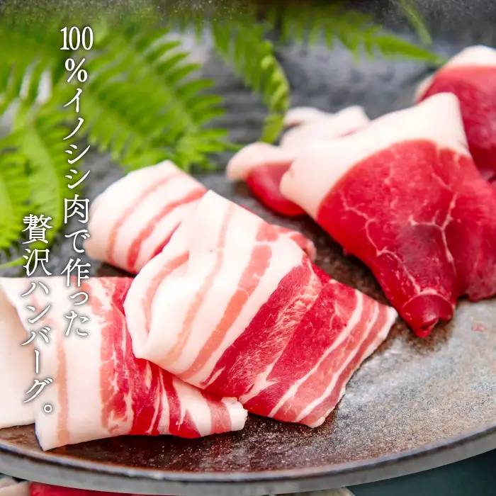 イノシシ肉のハンバーグ 4袋セット