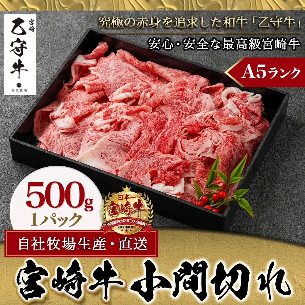 数量限定！【宮崎牛A5】小間切れ500g(乙守牛)〔19-6502〕_(都城市) 都城産宮崎牛 乙守牛 A5 小間切れ 500g×1パック 牛肉 
