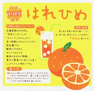 【先行予約】 訳あり 晴姫 はれひめ 5kg みかん 蜜柑 柑橘 かんきつ 果物 くだもの ジュース 冬 旬 季節限定 期間限定 数量限定 厳選 産地直送 わけあり 訳あり 傷 きず サイズ混合 サイズミックス ふるさとチョイス ふるさと納税  ふるさと納税みかん チョイス 愛媛県 愛南町 みかん職人武田屋