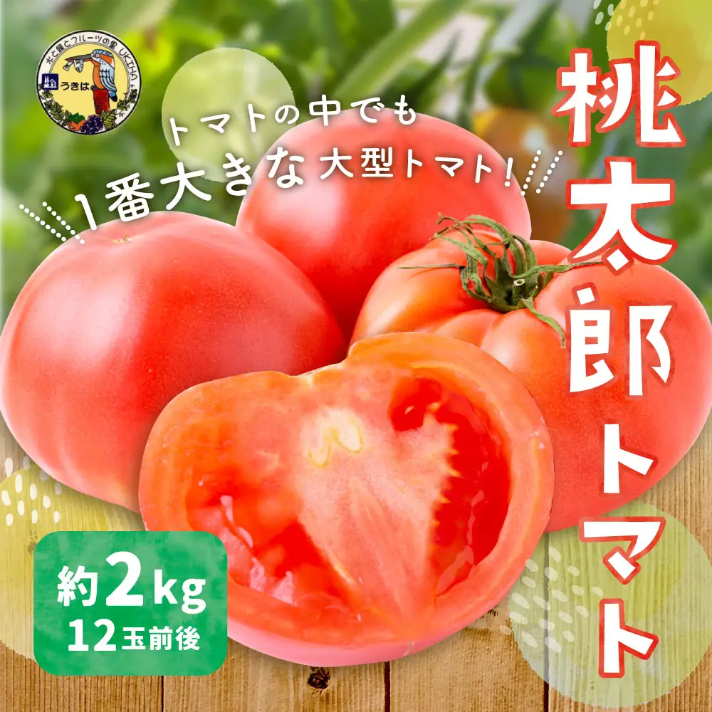 【ふるさと納税】 道の駅うきは 桃太郎トマト 12玉前後 (約2kg) 【2026年11月上旬から2027年5月上旬 出荷予定】 トマト とまと ももたろうトマト 大玉トマト 野菜 ベジタブル 新鮮 フレッシュ お取り寄せ 福岡県 うきは市