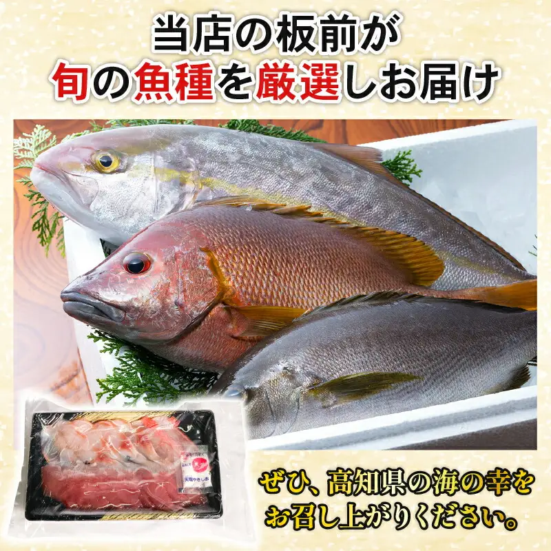 ほんとにおいしい！室戸のお刺身　２～３種盛り合わせお楽しみセット（２～３人前）鰹 マグロ 金目鯛 カンパチ ブリ カツオ キンメダイ あかはた さわら アジ