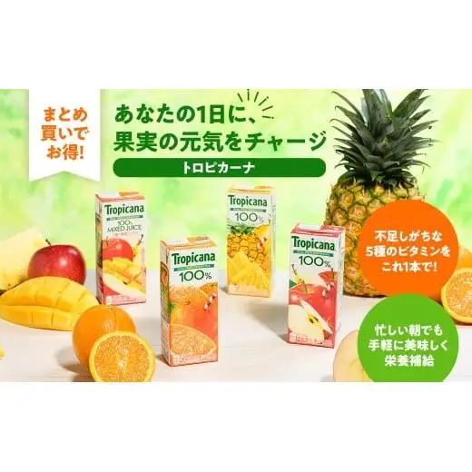 トロピカーナ 100％ アップル 250ml LLスリム×24本