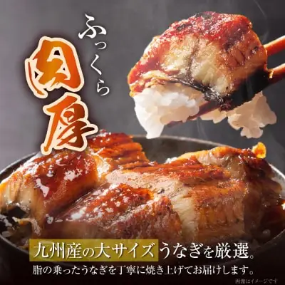 Z61-71 国産 うなぎ 蒲焼大サイズ2尾（計330g以上） うなぎ