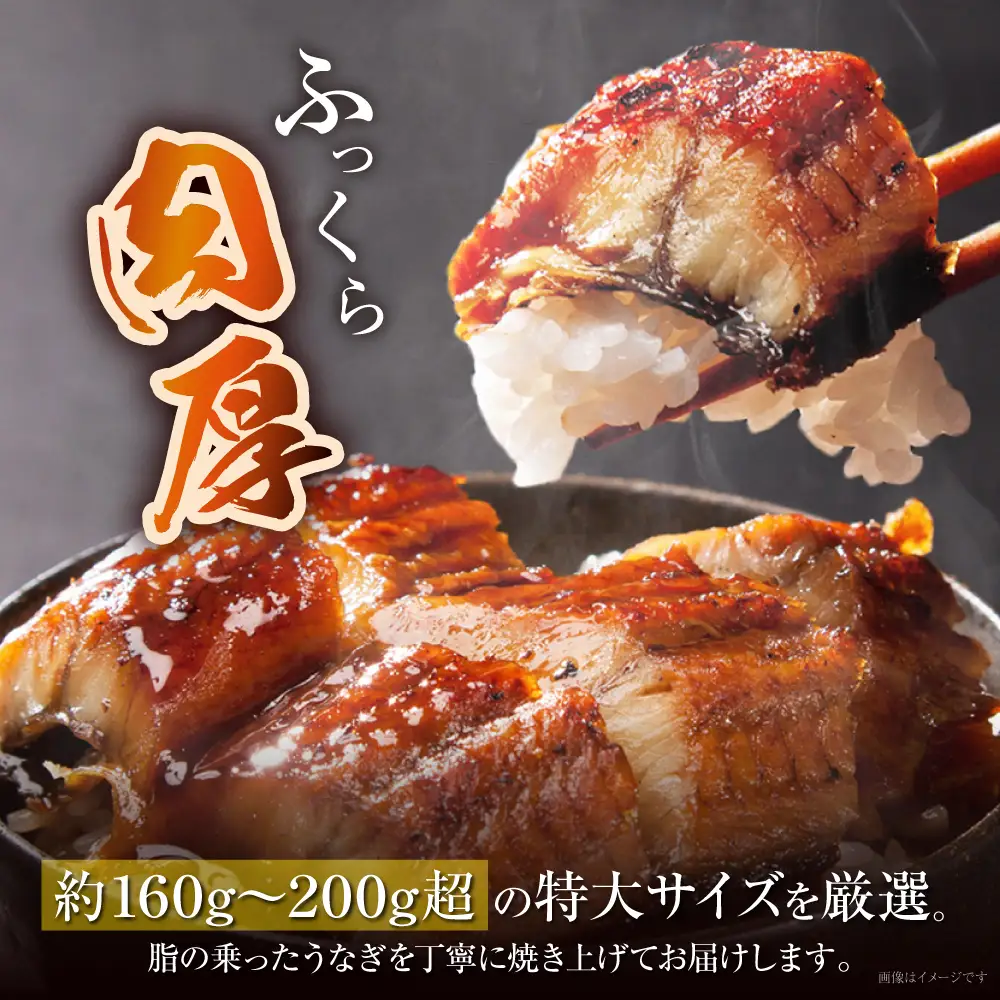 Z61-74F 【ふるなびWEEK対象】国産 うなぎ 蒲焼特大サイズ4尾（計800g以上） うなぎ