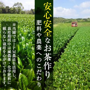 a5-018 茶畑直送　飲み比べ！バラエティーセット