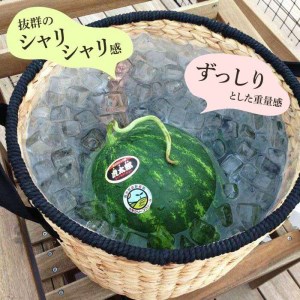 【限定40】皮までうまか！糸島産ハウス栽培こたろうスイカ[AIC002]