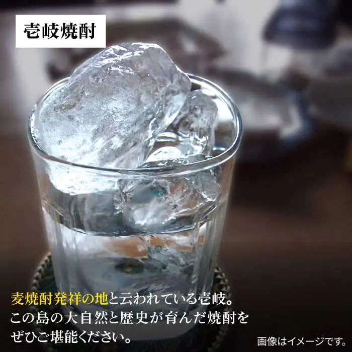 麦焼酎 壱岐の島 壱岐の華 壱岐 （25度・1800ml） 紙パック 各2本 計6本 [JDB339]麦焼酎 お酒