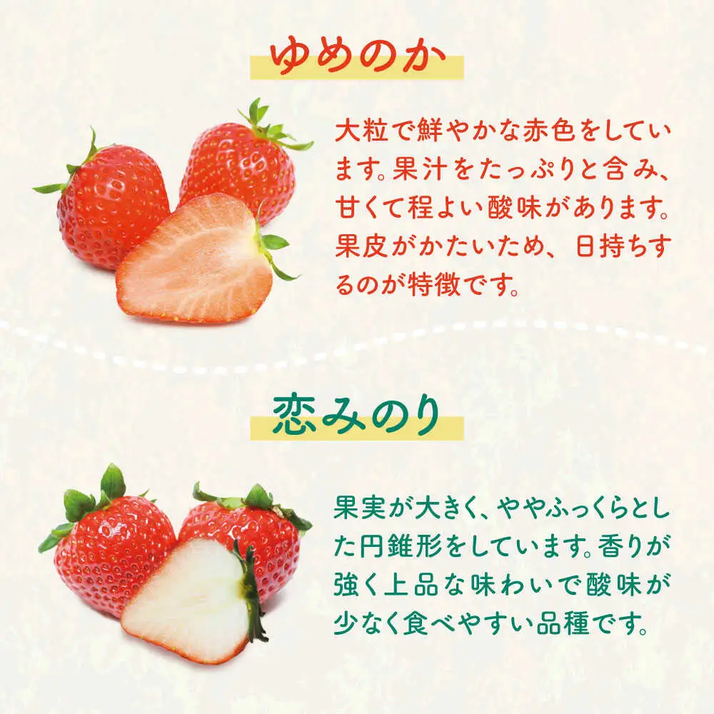 【全3回定期便】【先行予約】いちご イチゴ 苺 ゆめのか 恋みのり 計 1kg「ゆめ恋セット」 （250g × 4パック）【2027年2月以降順次発送】《壱岐市》【蒼花】 [JEO003] 45000 45000円