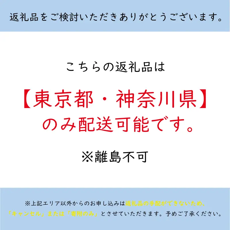 おせち 二段重 2-3人前 特製おせち料理