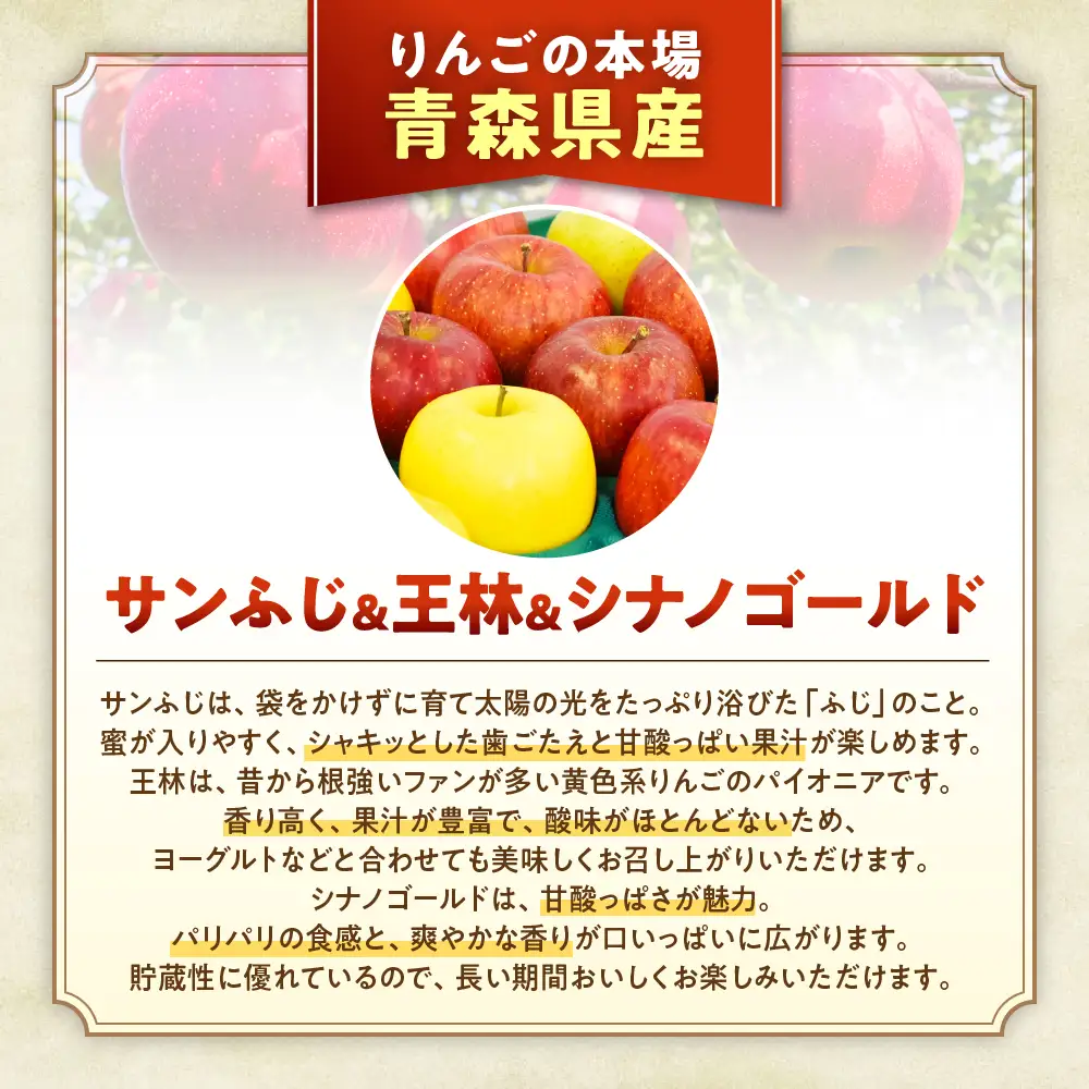 【詰め合わせ３種】青森県産りんご ＜サンふじ 王林 シナノゴールド＞ 約5kg 11月下旬～ りんご
