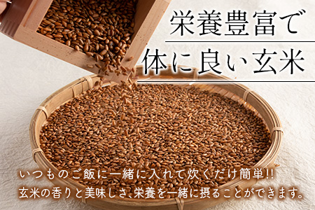 煎り玄米 5袋セット【A268】
