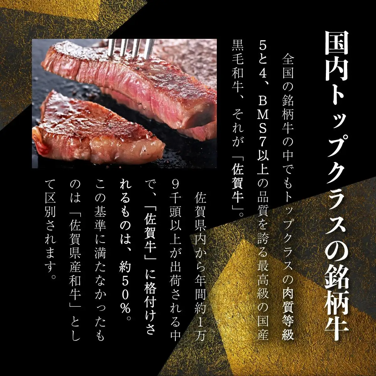 200g×1枚 佐賀牛サーロインステーキ B-954