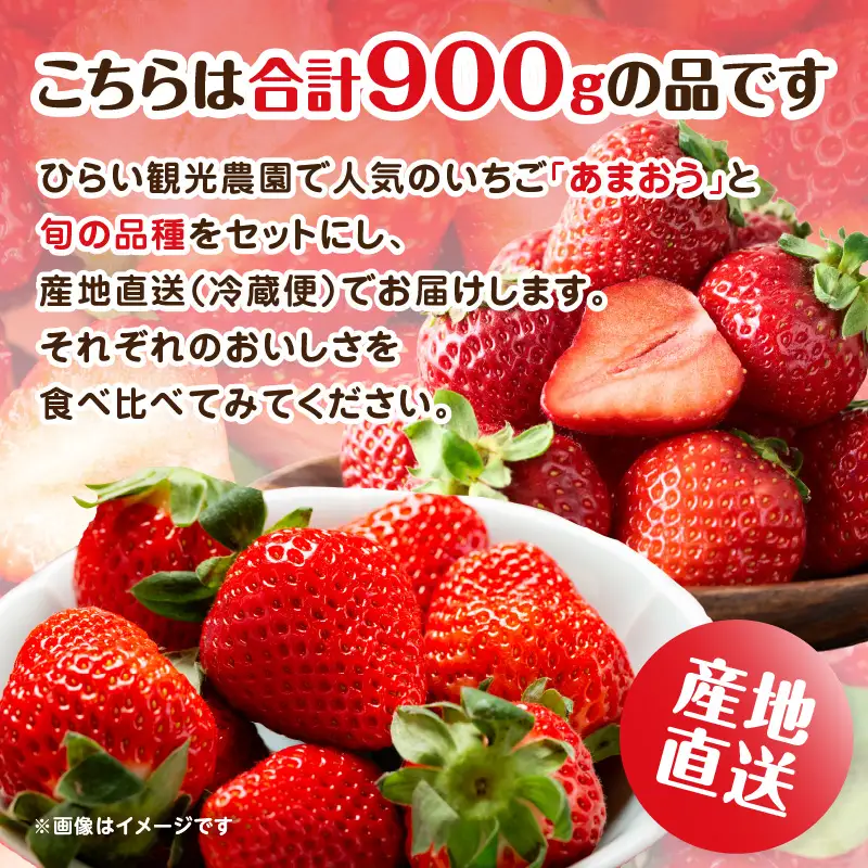 いちご堪能詰め合わせセット「あまおう450g」＋「旬の品種450g」（合計900g）｜2027年1月下旬～順次発送＜ひらい観光農園＞ あまおう いちご 苺 イチゴ フルーツ 果物 くだもの 人気 旬 福岡県産 食べ比べ 採れたて セット 冷蔵配送 数量限定 期間限定 産地直送 福岡県 八女市 065-002