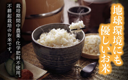 先行予約【令和8年産】玄米「廿ノ極」（4.5kg） [TCI001] 玄米