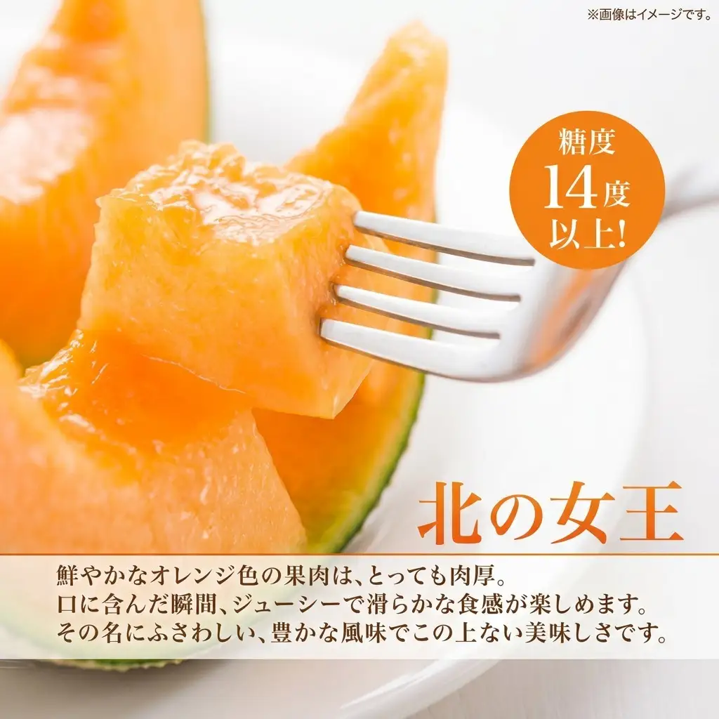 メロンセット 赤肉 北の女王 青肉 月雫 【各1玉 約1.6kg】【先行予約】