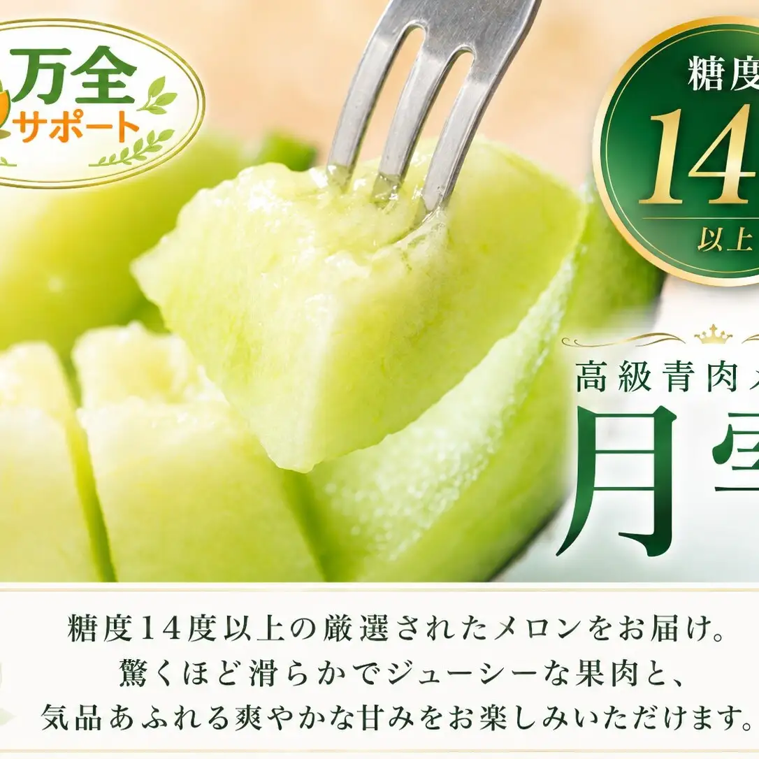 メロン 青肉 月雫 秀品 北海道産 メロン【1玉 約1.6kg】【先行予約】