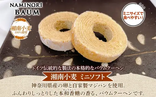 バウムクーヘン なみのりバウム ミニ 食べきり バウムクーヘン【10個】