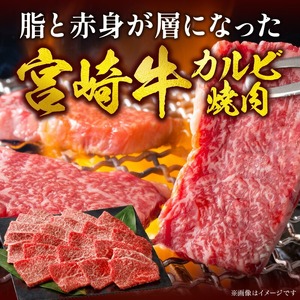 宮崎牛 カルビ焼肉500g N0140-YA5535