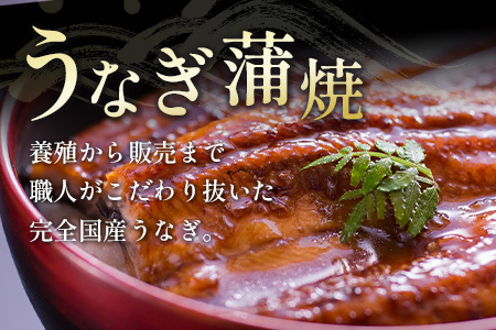 【ふるなびWEEK対象】鰻楽 国産うなぎ 2尾 計360g ＆ 宮崎牛 ロースステーキ 250g×2枚 計500g 肉質等級4等級 国産 人気 おすすめ【C129-2510-90】