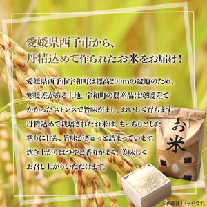 ＜愛媛県西予市産 お米 コシヒカリ 約5kg＞ コメ 白米 精米 ご飯 甘味 旨味 つや 粘り 特産品 愛媛県 西予市【常温】『1か月以内に順次出荷』UUB0020