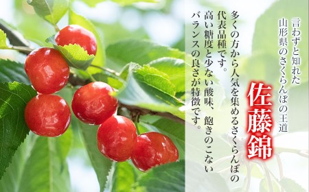 【令和9年産】 さくらんぼ 佐藤錦 L～2Lサイズ混合 バラ詰め 500g 鶴岡市産 大膳農園