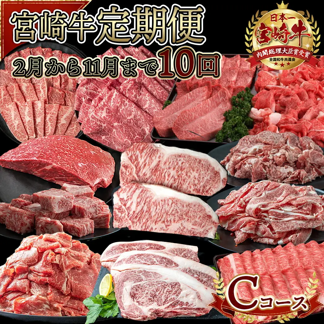 宮崎牛定期便(10回お届け) Cコース〔N25-003-T10〕_(都城市) 