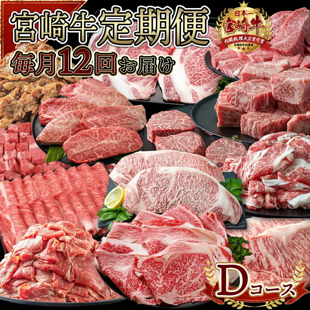 宮崎牛定期便(12回お届け) Dコース〔N25-004-T12〕_(都城市) 
