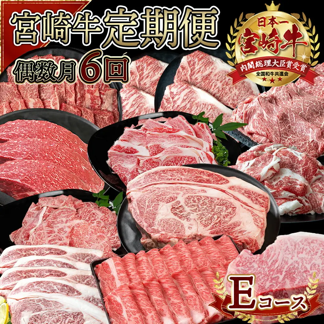 宮崎牛定期便(6回お届け) Eコース〔N25-005-T6〕_(都城市) 