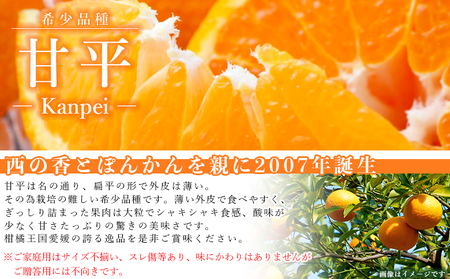 訳あり＜愛媛県西予市産 甘平 ご家庭用 約4kg＞ 果物 フルーツ 柑橘類 みかん 蜜柑 ミカン オレンジ かんぺい カンペイ 期間限定 季節限定 甘い 食べて応援 特産品 宇都宮物産 愛媛県 西予市【常温】『2026年2月上旬～3月下旬迄に順次出荷予定』UUB0016