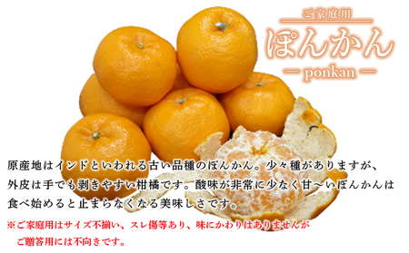 ＜愛媛県西予市産 ぽんかん ご家庭用 約4kg＞約15～30個入り 訳あり 果物 くだもの フルーツ みかん ミカン オレンジ ポンカン 柑橘 特産品 愛媛県 西予市【常温】『2026年1月上旬～3月上旬迄に順次出荷予定』UUB0004