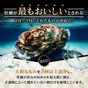 独自ブランド「讃美牡蠣」のこだわり冷凍大粒牡蠣！｜かき カキ 贈答 広島