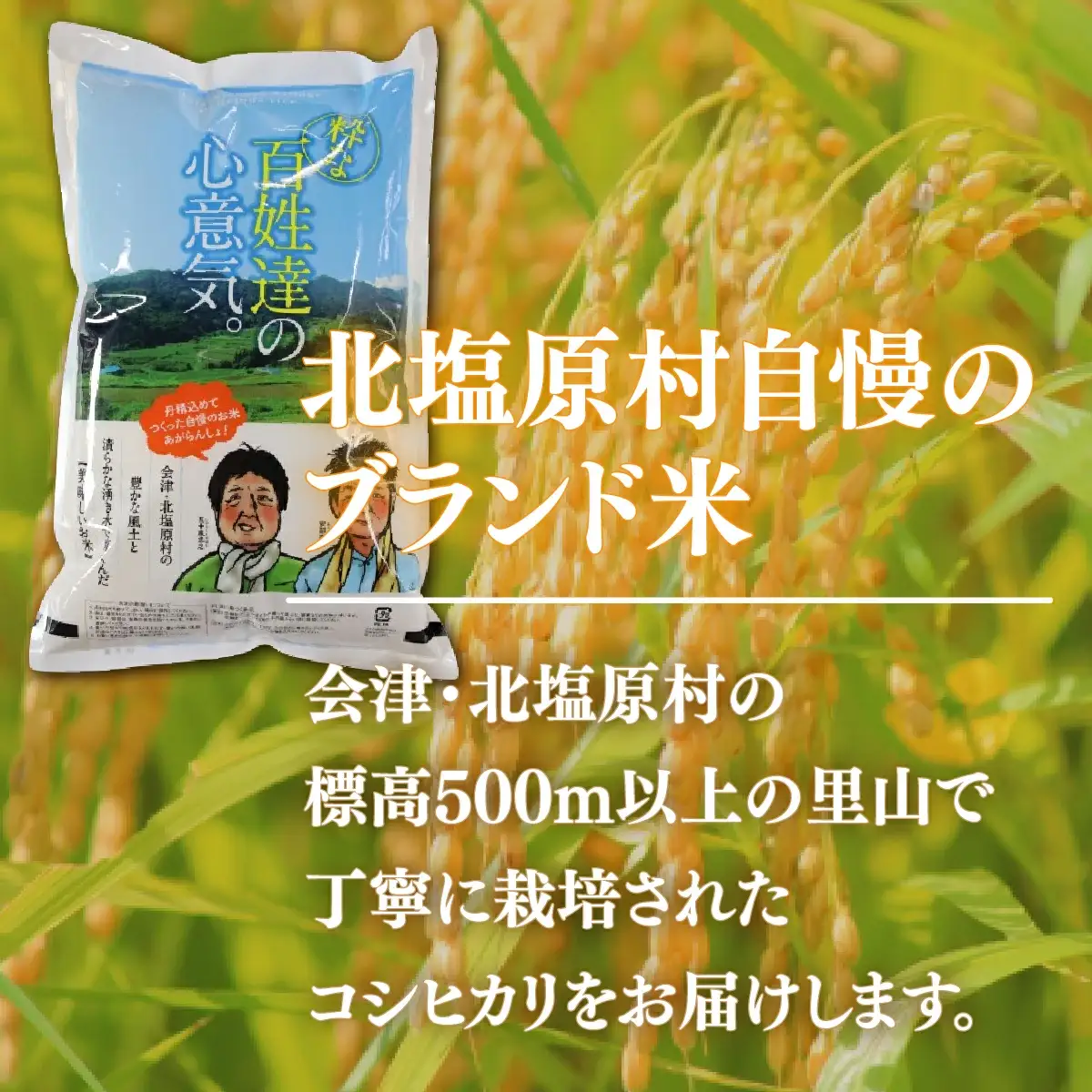 【令和7年産】【3ヶ月定期便】会津・北塩原村産「コシヒカリ」5kg×3回お届け(大塩棚田米・標高500ｍ里山栽培） KBK002