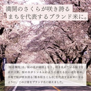 栃木県コシヒカリ 「桜花爛漫」 玄米 5kg 【ご飯 お米 コメ コシヒカリ 栃木県産 さくら市産】 ※北海道・沖縄・離島への配送不可 ※着日指定不可◇