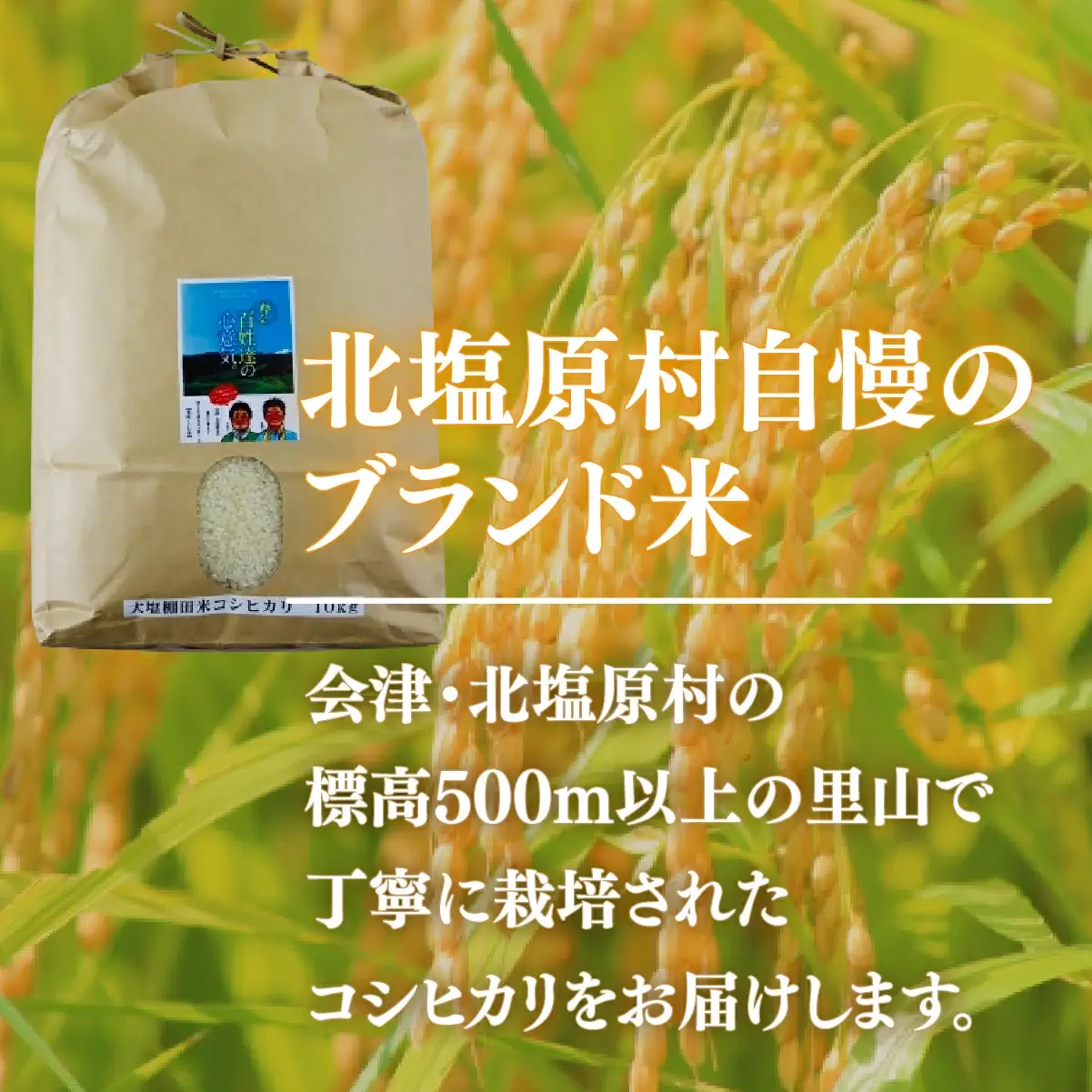 【令和7年産】【6ヶ月定期便】会津・北塩原村産「コシヒカリ」10kg×6回お届け(大塩棚田米・標高500ｍ里山栽培） KBK008