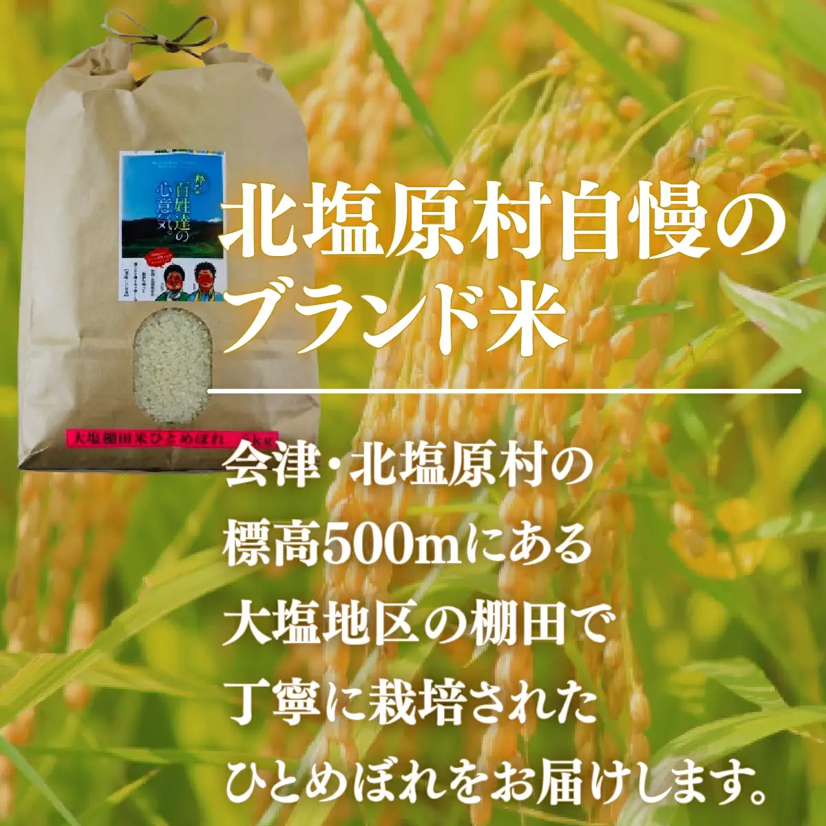 【先行予約/令和7年産 新米】【3ヶ月定期便】会津・北塩原村産「ひとめぼれ」5kg×3回お届け(大塩棚田米・標高500ｍ里山栽培） KBK014
