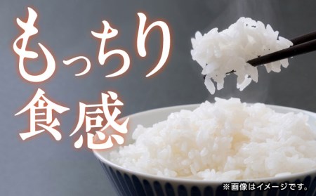 【もっちりとした粘りと甘さ】 さがびより 10kg /愛まんてん [UBD003] 米 こめ コメ お米